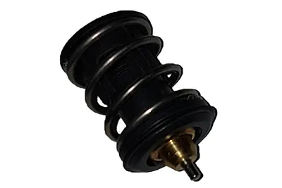Thermostat, liquide de refroidissement Seat IBIZA IV · Seat IBIZA IV SC · Seat IBIZA IV ST