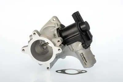 Vanne EGR Vw TOUAREG · Vw MULTIVAN T5 · Vw TRANSPORTER T5 Platform/Chassis (7JD, 7JE, 7JL, 7JY, 7JZ, 7F