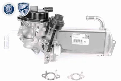 Module-EGR Vw MULTIVAN T5 · Vw TRANSPORTER T5 Platform/Chassis (7JD, 7JE, 7JL, 7JY, 7JZ, 7F · Vw TRANSPORTER T5 Van