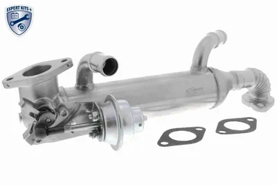 Radiateur, réaspiration des gaz d'échappement Vw TOUAREG · Vw MULTIVAN T5 · Vw TRANSPORTER T5 Platform/Chassis (7JD, 7JE, 7JL, 7JY, 7JZ, 7F