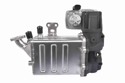 Radiateur, réaspiration des gaz d'échappement Man TGE Van · Man TGE Platform/Chassis · Man TGE Bus