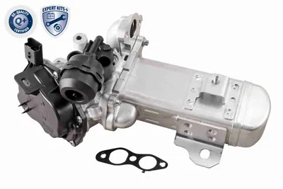 Module-EGR Citroën C8 · Citroën C4 PICASSO I MPV · Citroën JUMPY II