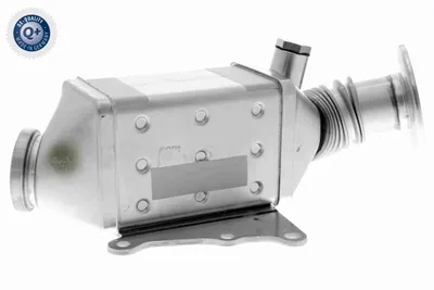 Radiateur, réaspiration des gaz d'échappement Fiat DUCATO Bus · Fiat DUCATO Van · Fiat DUCATO Platform/Chassis