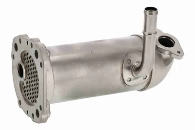 Radiateur, réaspiration des gaz d'échappement Ford RANGER · Ford TOURNEO CUSTOM V362 Bus · Ford TRANSIT CUSTOM V362 Van