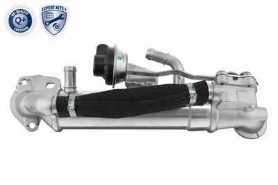 Radiateur, réaspiration des gaz d'échappement Ford RANGER