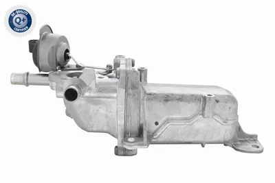 Radiateur, réaspiration des gaz d'échappement Fiat TALENTO Bus · Fiat TALENTO Van · Fiat TALENTO Platform/Chassis