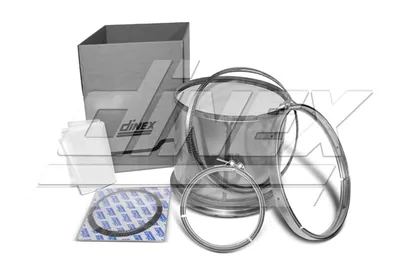 Filtre à particuliers DINEX 4II001-RX