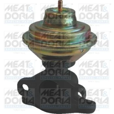 Vanne EGR Fiat BRAVA · Fiat BRAVO I · Fiat MULTIPLA