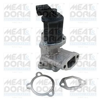 Vanne EGR Fiat PALIO · Fiat PUNTO · Fiat SIENA