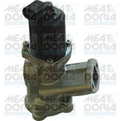 Vanne EGR Fiat PANDA · Fiat IDEA · Fiat 500