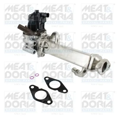 Module-EGR Fiat DUCATO Bus · Fiat DUCATO Van · Fiat DUCATO Platform/Chassis