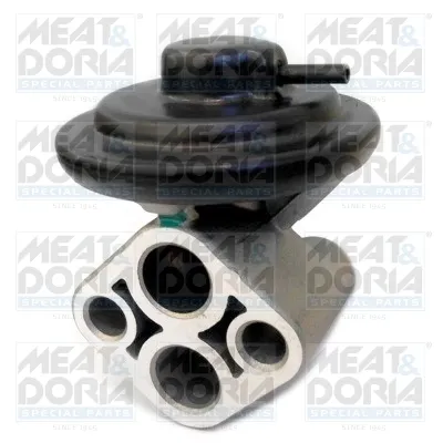 Vanne EGR Hyundai SONATA IV · Hyundai SANTA FÉ I · Kia MAGENTIS I