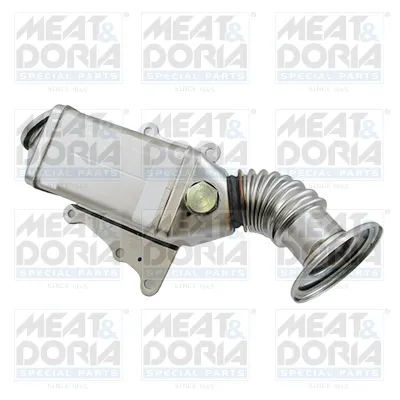 Radiateur, réaspiration des gaz d'échappement Fiat DUCATO Bus · Fiat DUCATO Van · Fiat DUCATO Platform/Chassis