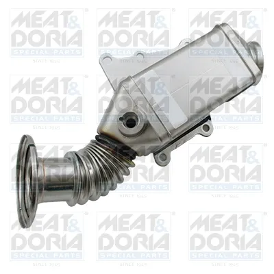 Radiateur, réaspiration des gaz d'échappement Fiat DUCATO Bus · Fiat DUCATO Van · Fiat DUCATO Platform/Chassis