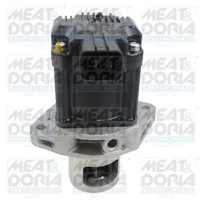 Vanne EGR MEAT & DORIA 88763