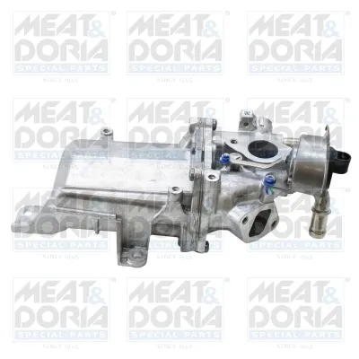 Module-EGR Renault MASTER III Van · Renault MASTER III Platform/Chassis · Renault MASTER III Bus