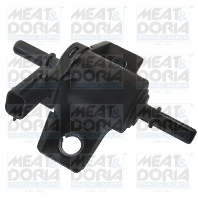 Gicleur, injection Renault LAGUNA III · Renault MEGANE III Hatchback · Dacia LOGAN