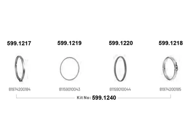 Jeu de pièces de fixation, système d'échappement ASSO 599.1240