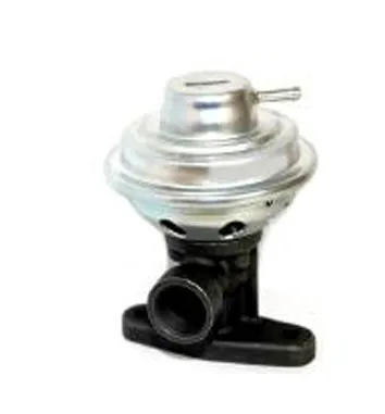 Vanne EGR Seat TOLEDO II · Seat LEON · Vw GOLF IV