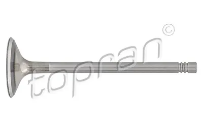 Détecteur de l'angle de braquage Audi A3 · Audi A3 Sportback · Audi TT