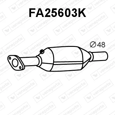 Catalyseur Fiat PALIO · Fiat PALIO Weekend · Fiat SIENA