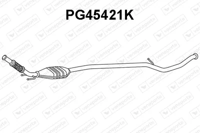 Catalyseur Peugeot 307