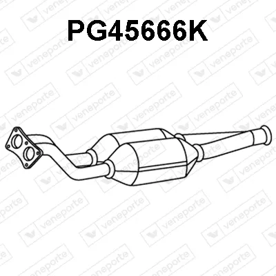 Catalyseur Peugeot 607