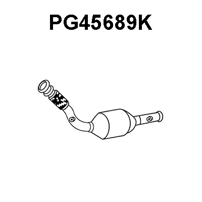 Catalyseur VENEPORTE PG45689K