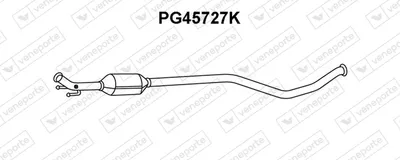 Catalyseur VENEPORTE PG45727K