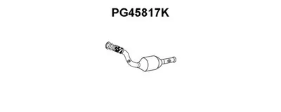 Catalyseur VENEPORTE PG45817K