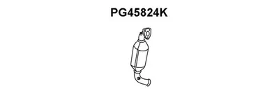 Catalyseur VENEPORTE PG45824K
