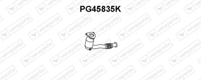 Catalyseur VENEPORTE PG45835K