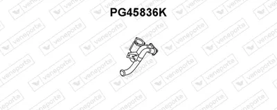 Catalyseur VENEPORTE PG45836K