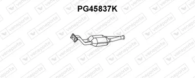 Catalyseur VENEPORTE PG45837K
