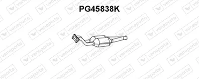 Catalyseur VENEPORTE PG45838K