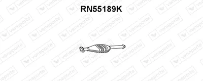 Catalyseur Renault 21 Saloon