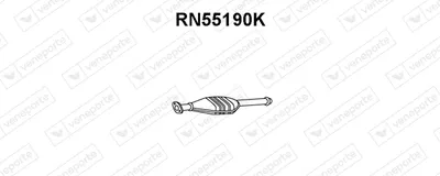 Catalyseur Renault 21 Saloon