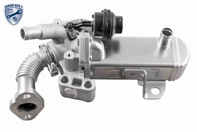 Module-EGR Nissan PATHFINDER III · Nissan NAVARA NP300 · Nissan NAVARA NP300 Platform/Chassis
