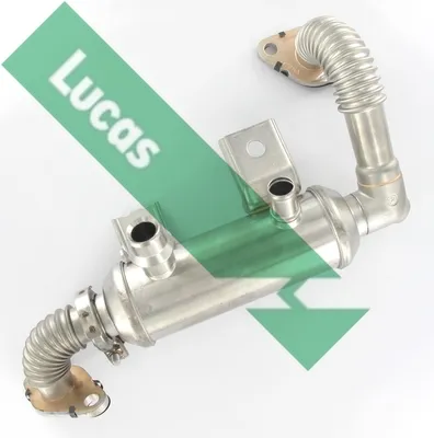 Radiateur, réaspiration des gaz d'échappement Ford TOURNEO CONNECT · Ford TRANSIT CONNECT · Ford FOCUS C-MAX