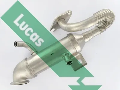 Radiateur, réaspiration des gaz d'échappement Ford FOCUS I · Ford FOCUS I Turnier · Ford FOCUS I Saloon