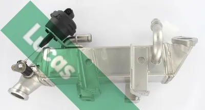 Radiateur, réaspiration des gaz d'échappement Nissan PRIMASTAR Bus · Nissan PRIMASTAR Van · Nissan NV400 Van