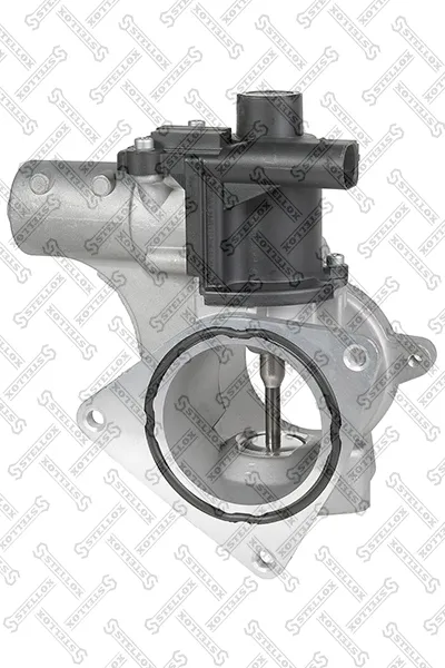 Vanne EGR Vw TOUAREG · Vw MULTIVAN T5 · Vw TRANSPORTER T5 Platform/Chassis (7JD, 7JE, 7JL, 7JY, 7JZ, 7F