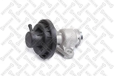 Vanne EGR Vw GOLF V · Vw CADDY III Box Body/MPV · Vw CADDY III MPV