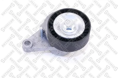 Poulie de tension, courroie trapézoïdale à nervures Citroën C3 I · Citroën C3 Pluriel · Citroën C2