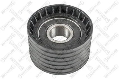 Poulie renvoi/transmission, courroie crantée Nissan PRIMASTAR Bus · Nissan PRIMASTAR Van · Nissan KUBISTAR Van