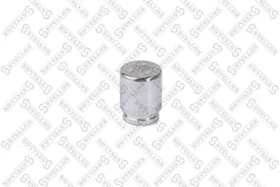 Piston, étrier de frein Bmw 5 · Chrysler SEBRING Coupe · Citroën C-CROSSER