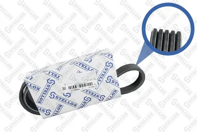 Courroie trapézoïdale à nervures Ford MONDEO I · Ford MONDEO I Turnier · Ford MONDEO II