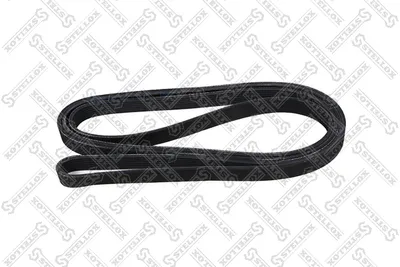 Courroie trapézoïdale à nervures Audi A8 D2 · Ford TRANSIT Bus · Ford TRANSIT Van