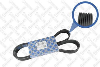 Bracelet traspecial poli V STELLEX 08-01400-SX