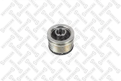 Poulie, alternateur Audi A6 C6 · Audi A6 C6 Avant · Mercedes-Benz CITAN Mixto